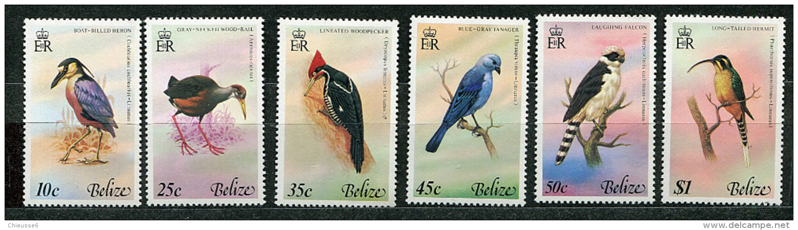 Belize ** N° 415 à 420 - Oiseaux - - Belize (1973-...)