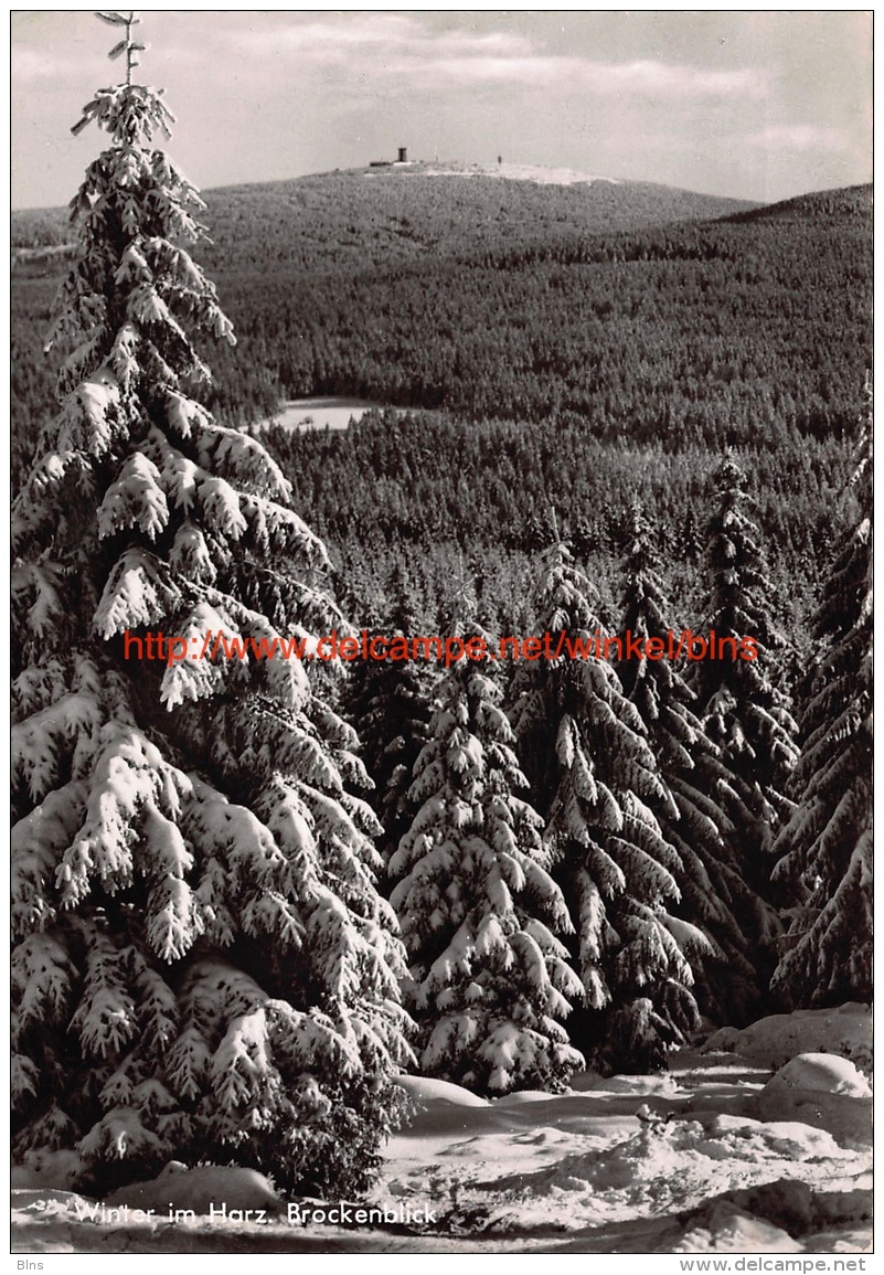 Winter Im Harz Brockenblick - Wolfenbuettel