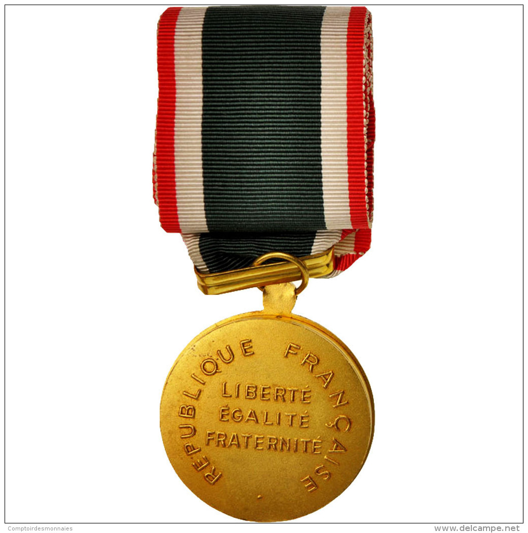 France, Mérite Du Travail, Medal, Très Bon état, Silver And Gold, 38.5 - Other & Unclassified