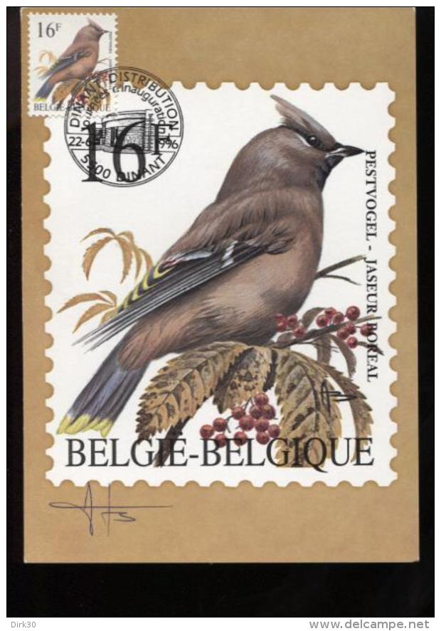 Belgie Buzin Vogels Birds 2534 R Maximumkaart 16fr Dinant - 1991-2000