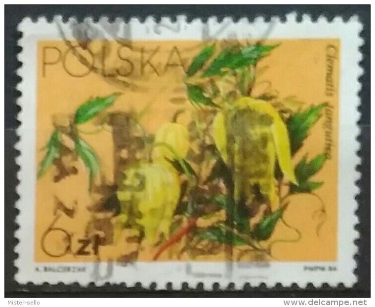 POLONIA 1984. Clematis Flowers. USADO - USED. - Used Stamps