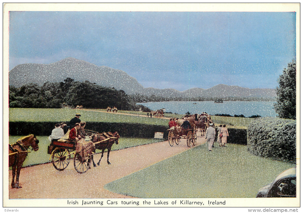 Jaunting Car, Lakes Of Killarney, Kerry, Ireland Postcard Unposted - Kerry