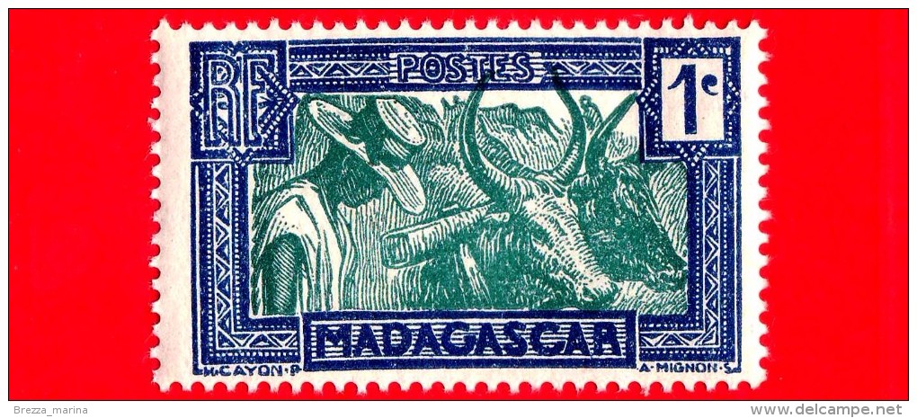 Nuovo - MNH - MADAGASCAR - 1933 - Animali (Fauna) - Bovini  - Zebu - 1 - Nuovi