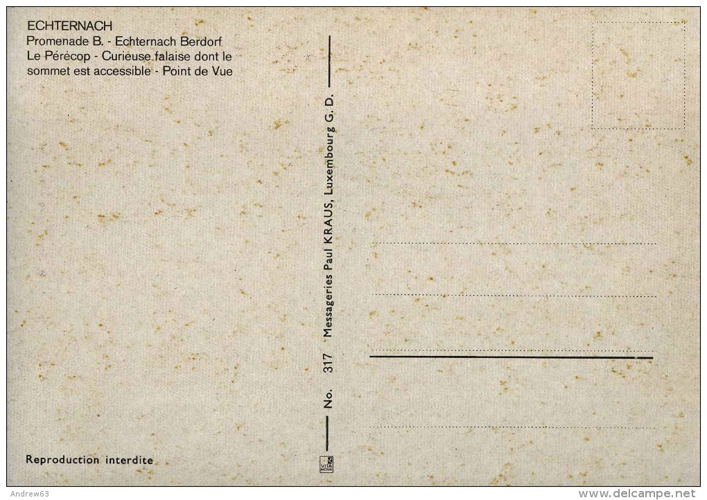 LUSSEMBURGO - LUXEMBOURG - Echternach - Promenade B - Berdorf Le Pérécop - Curieuse Falaise - Point De Vue - Not Used - Echternach