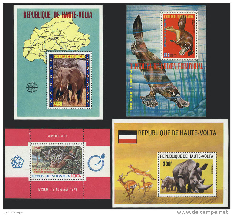Lot Of VERY THEMATIC Souvenir Sheets, Unmounted And Of Excellent Quality, Low Start! - Lots & Kiloware (mixtures) - Max. 999 Stamps