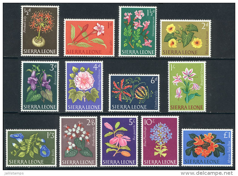 Sc.227/239, 1963 Flowers, Complete Set Of 13 Unmounted Values, Excellent Quality. - Sierra Leone (1961-...)