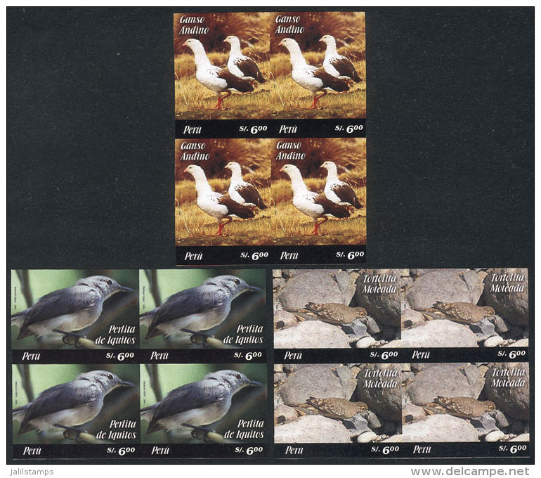 Sc.1520/1522, 2006 Birds, Complete Set Of 3 Values In IMPERFORATE BLOCKS OF 4, Excellent Quality, Rare! - Peru