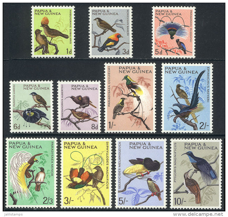 Sc.188/198, 1964/5 Birds, Complete Set Of 11 Unmounted Values, Very Fine Quality. - Papua New Guinea