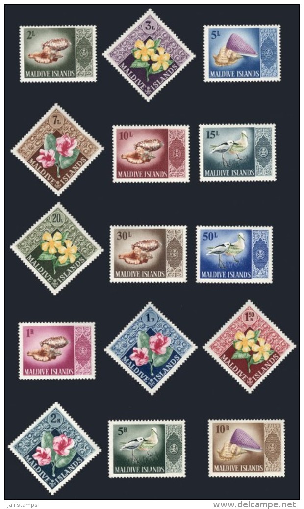 Sc.172/186, 1966 Birds, Flowers And Sea Shells, Complete Set Of 15 Unmounted Values, Excellent Quality, Catalog... - Malediven (1965-...)