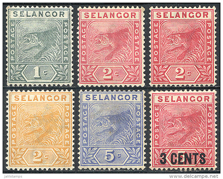 Sc.24/28, 1891/5 Tiger, Complete Set Of 4 Values + Color Variety Of 2c. Rose + Overprinted Value Of 1894, Mint, VF... - Selangor