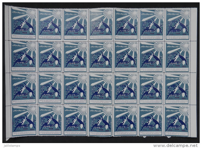 FIGHT AGAINST TUBERCULOSIS: 1966 Issue, Large Block Of 28 Cinderellas, MNH, Excellent Quality! - Iran