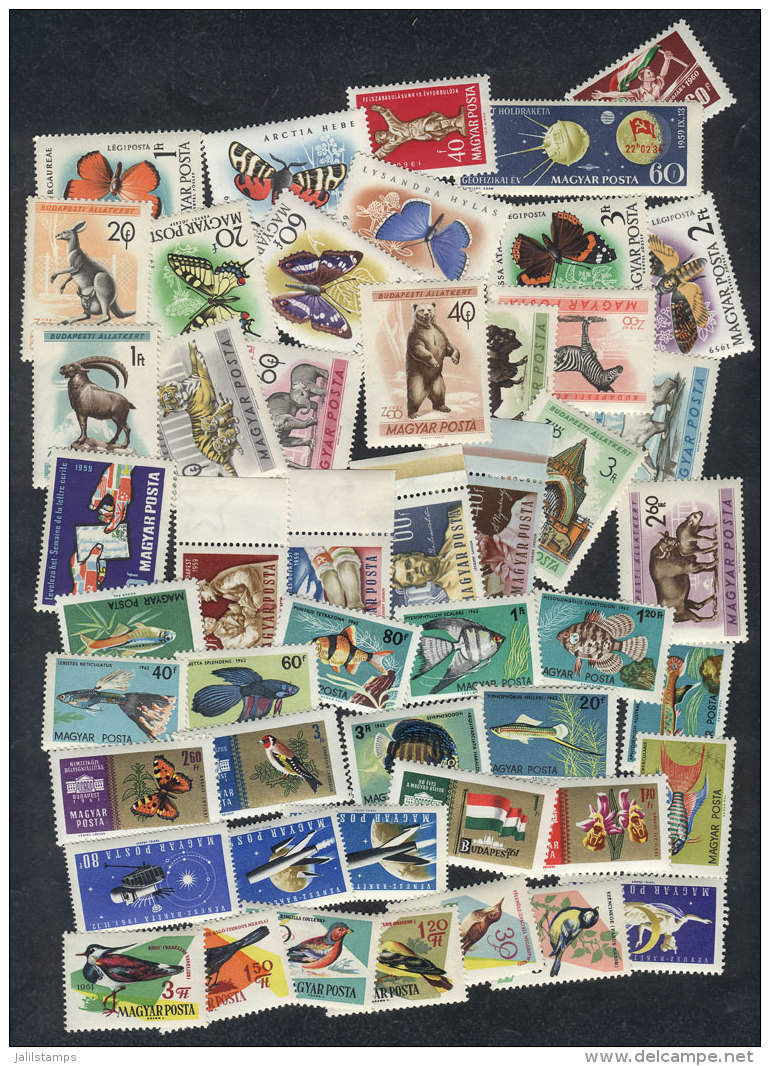 Lot Of Stamps And Complete Sets, Most Are Very Thematic And Of Fine To VF Quality (many Unmounted, And Few Can Have... - Collections