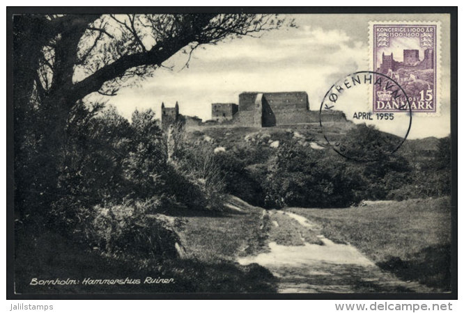 Maximum Card Of AP/1955: Ruins Of Hammershus In Bornholm, VF Quality - Maximum Cards & Covers