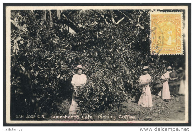 Picking COFFEE In San Jose, Old Maximum Card, VF - Costa Rica