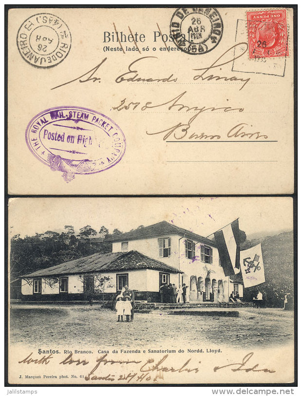 Postcard (view Of Santos, Rio Branco, Casa Da Fazenda E Sanatorium Do Nordd, Lloyd - Editor J. Marques Pereira)... - Sonstige & Ohne Zuordnung