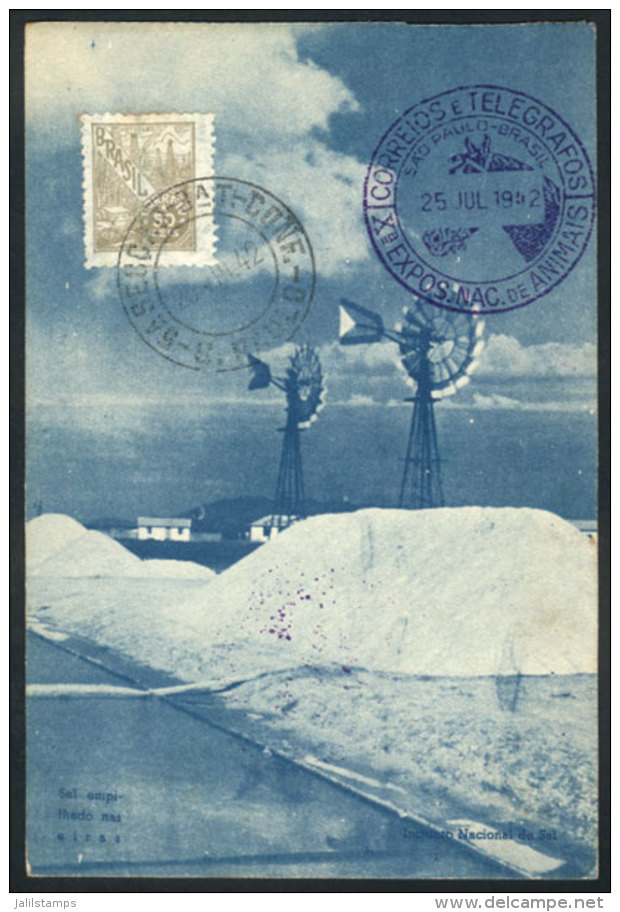 Salt Piles, Windmills, Old PC With Postmark Of 1942, VF - Sonstige & Ohne Zuordnung