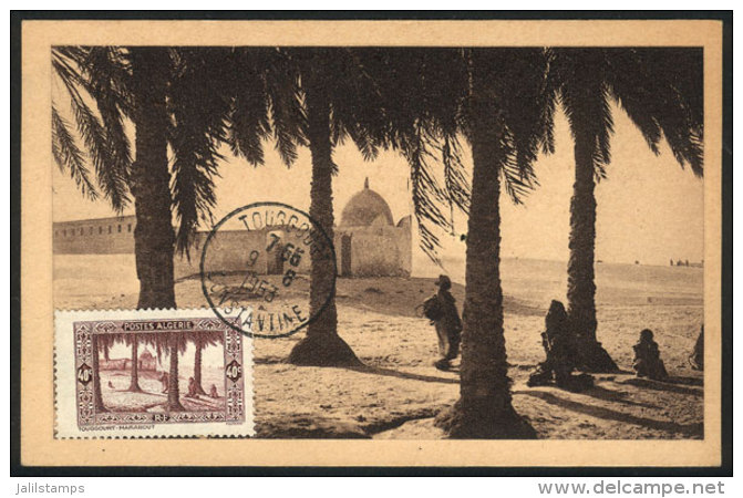 TOUGGOURT: Tombs Of The Kings, Maximum Card Of 9/JUN/1953, VF Quality - Algeria (1962-...)