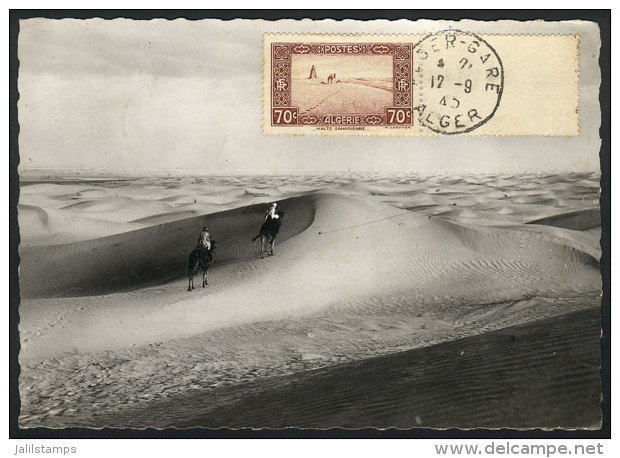 Maximum Card Of SE/1945, Topic CAMELS, Desert, VF Quality - Algeria (1962-...)