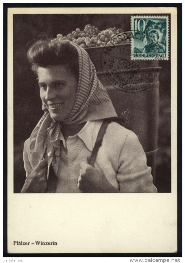 Maximum Card Of OC/1949: Woman Carrying Grapes, Wine, With Special Pmk, VF Quality - Otros & Sin Clasificación