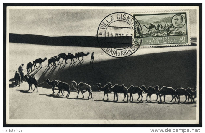 Maximum Card Of 15/MAR/1957, CAMELS, With Cancel Of Villa Cisneros, VF Quality - Rio De Oro