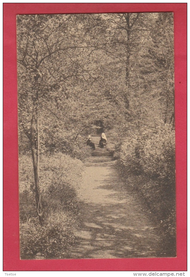 Binche -Maison Des Soeurs De La Charité De N-D De Bonne Espérance - Une Allée Du Jardin ( Voir Verso ) - Binche