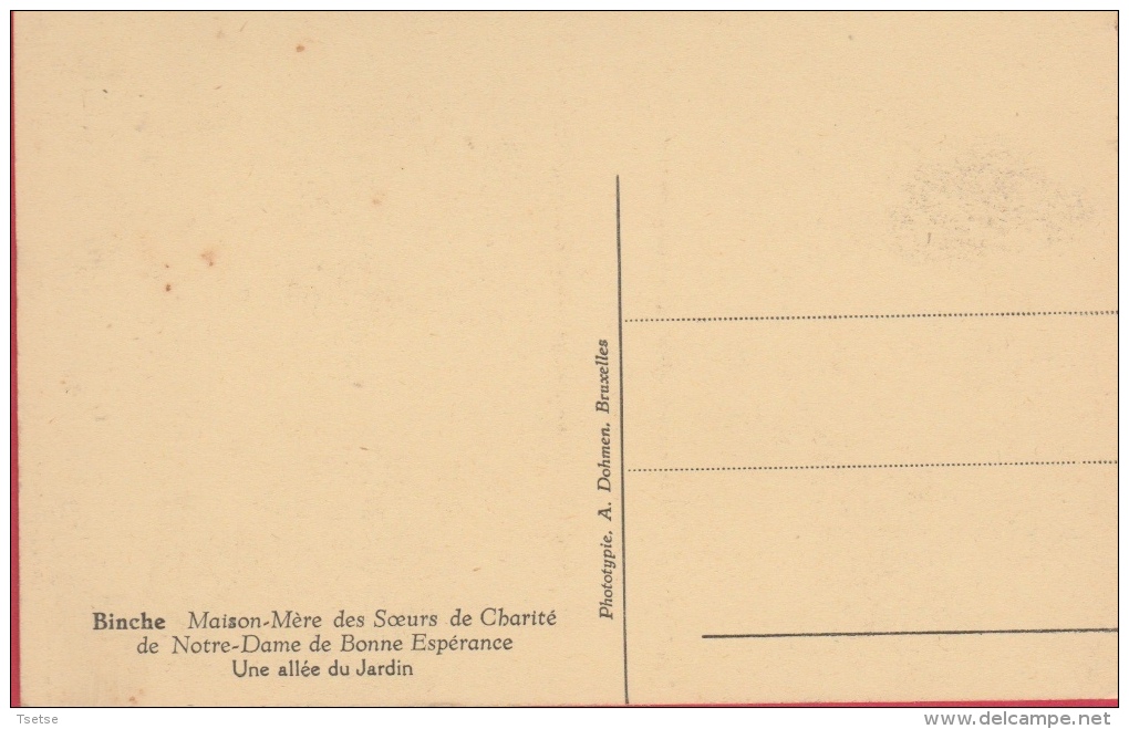 Binche -Maison Des Soeurs De La Charité De N-D De Bonne Espérance - Une Allée Du Jardin ( Voir Verso ) - Binche