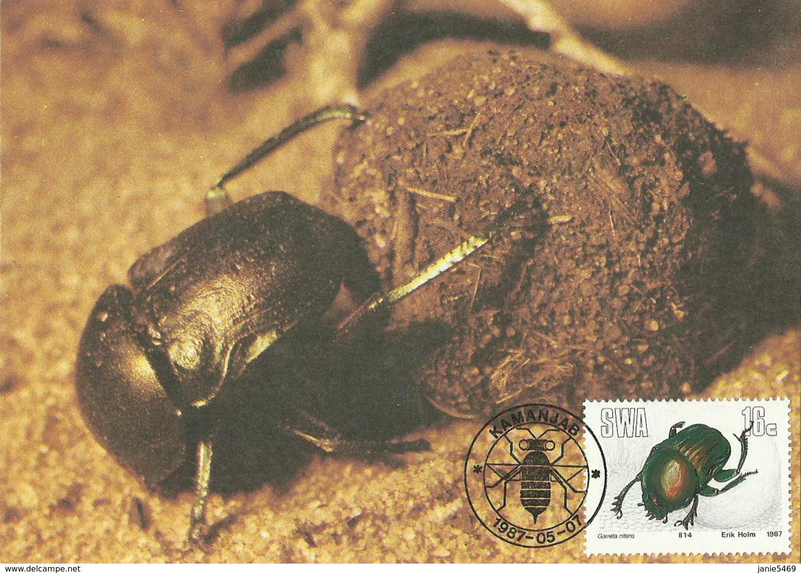 South West Africa SWA 1987 Insects,16c Garreta Nitens Maximum Card - Used Stamps