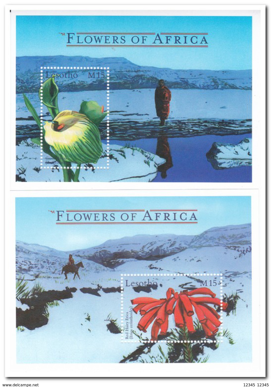 Lesotho 2000, Postfris MNH, Flowers - Lesotho (1966-...)