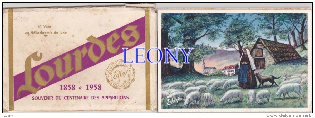CARNET De 9  VUES En HELIOCHROMIE De LUXE " SOUVENIR Du CENTENAIRE Des APPARITIONS 1858 -1958 - LOURDES - 5 - 99 Postkaarten