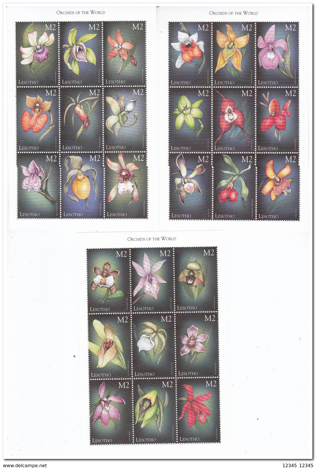 Lesotho 1999, Postfris MNH, Flowers, Orchids - Lesotho (1966-...)