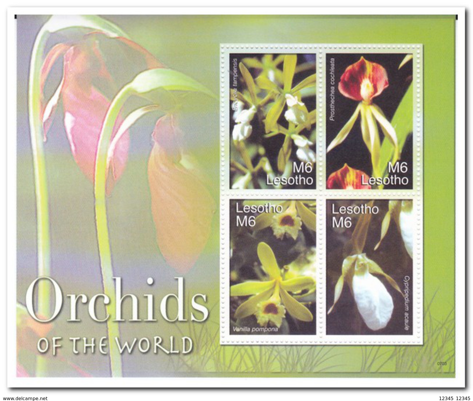 Lesotho 2007, Postfris MNH, Flowers, Orchids - Lesotho (1966-...)