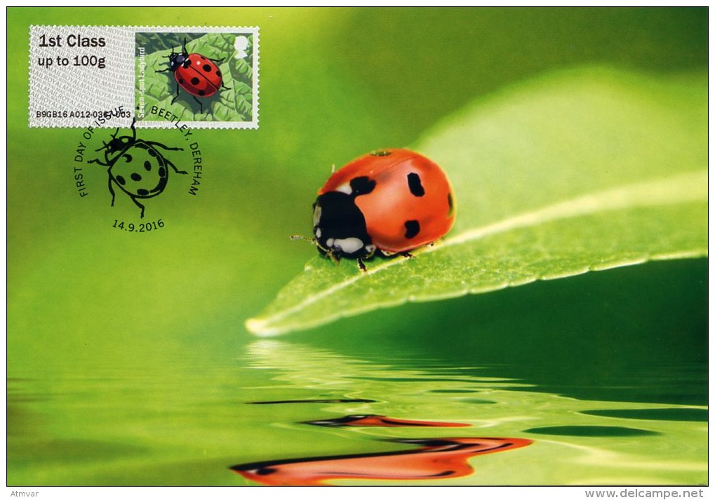 UNITED KINGDOM / GRANDE BRETAGNE (2016) - Carte Maximum Card Post&Go - Seven-spot Ladybird, Mariquita, Coccinelle - Sonstige & Ohne Zuordnung