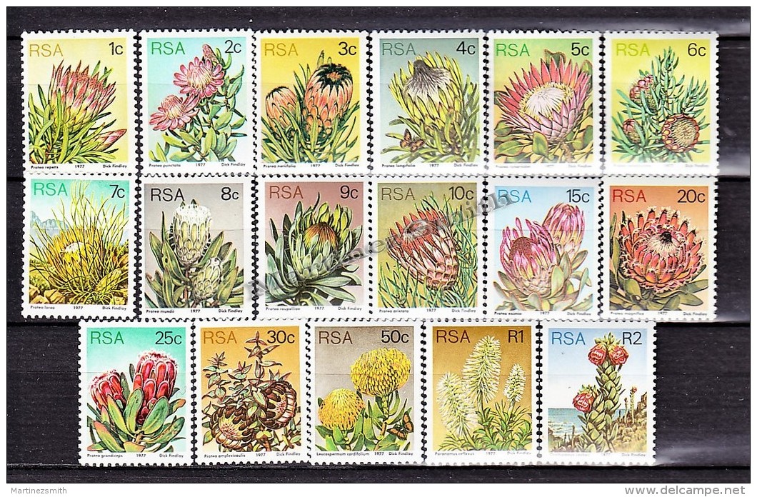 South Africa - Afrique Du Sud - Africa Sur  1977 Yvert 416 - 32 Definitive, Flowers - MNH - Neufs