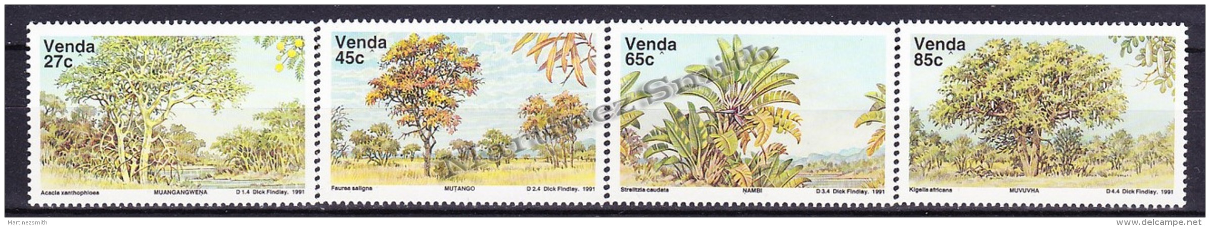 South Africa - Afrique Du Sud - Venda 1991 Yvert  229 -32, Flowers, Native Trees - MNH - Ungebraucht