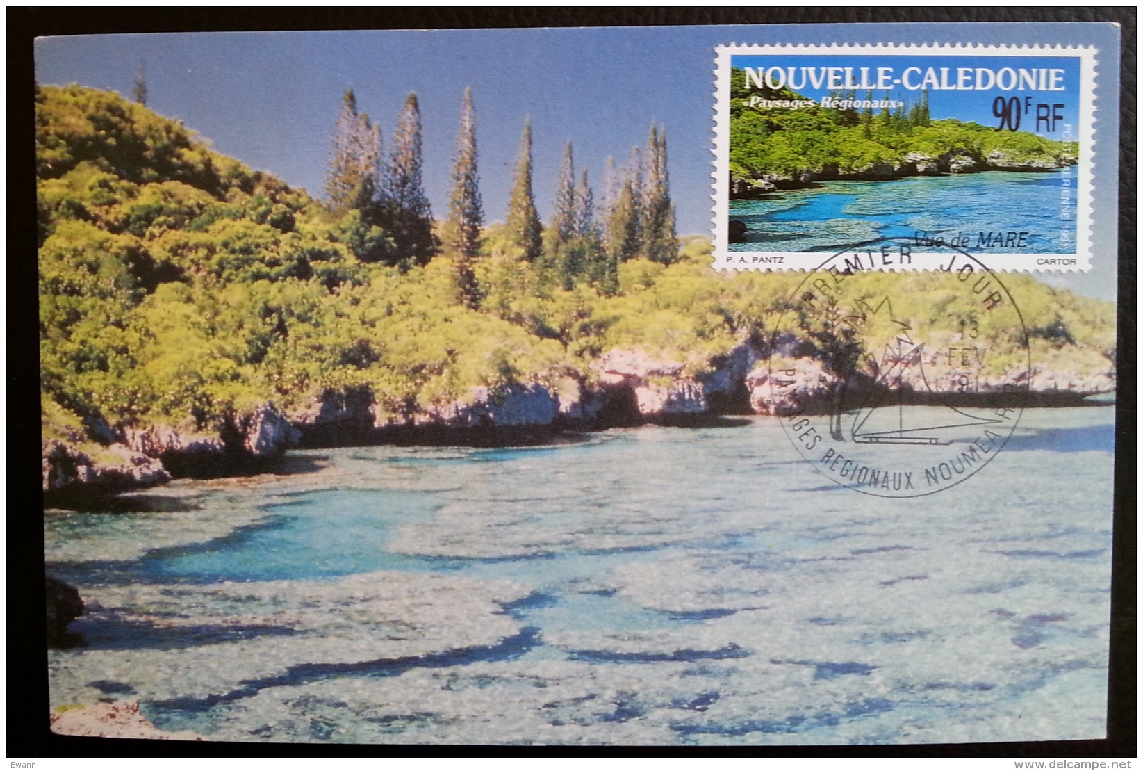 NOUVELLE-CALEDONIE - CM 1991 - YT Aérien N°277 - VUE DE MARE - NOUMEA - Cartes-maximum