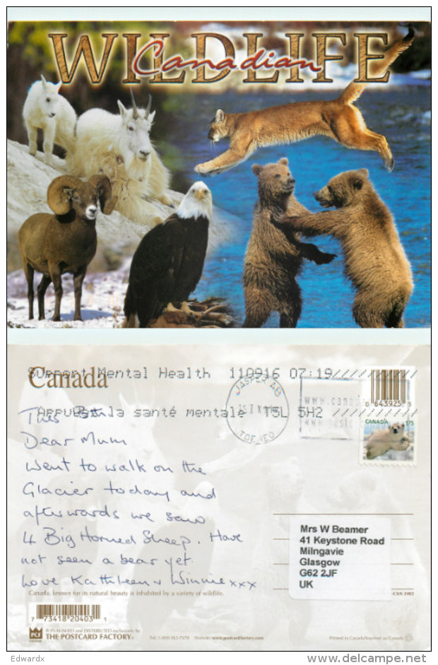 Wildlife, Alberta, Canada Postcard Posted 2011 Stamp - Autres & Non Classés