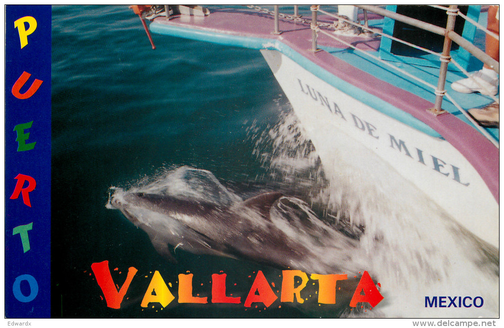 Dolphin, Puerto Vallarta, Mexico Postcard Posted 2002 Stamp - Mexico