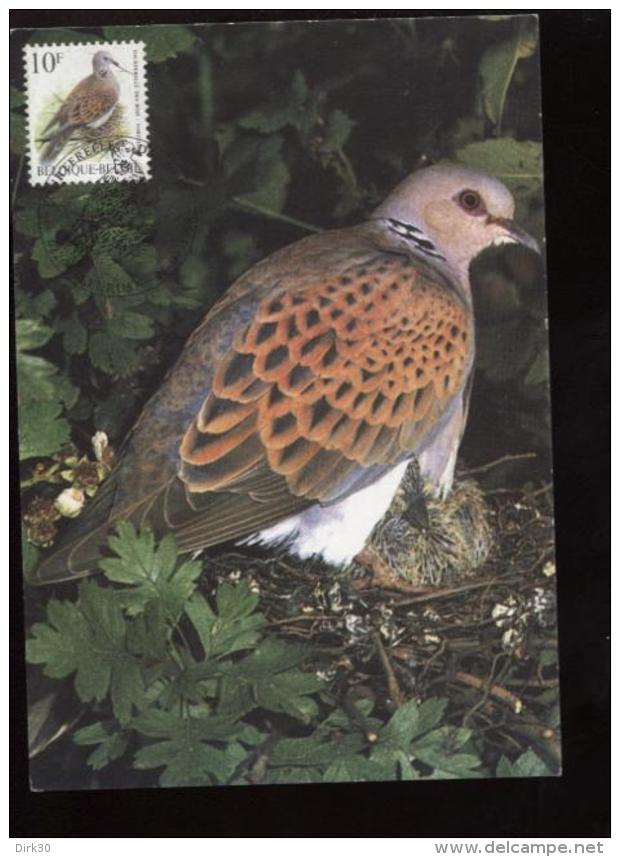 Belgie Buzin Vogels Birds 2783 10fr Maximumkaart RR Fleurus 26/9/1998 RR - 1991-2000
