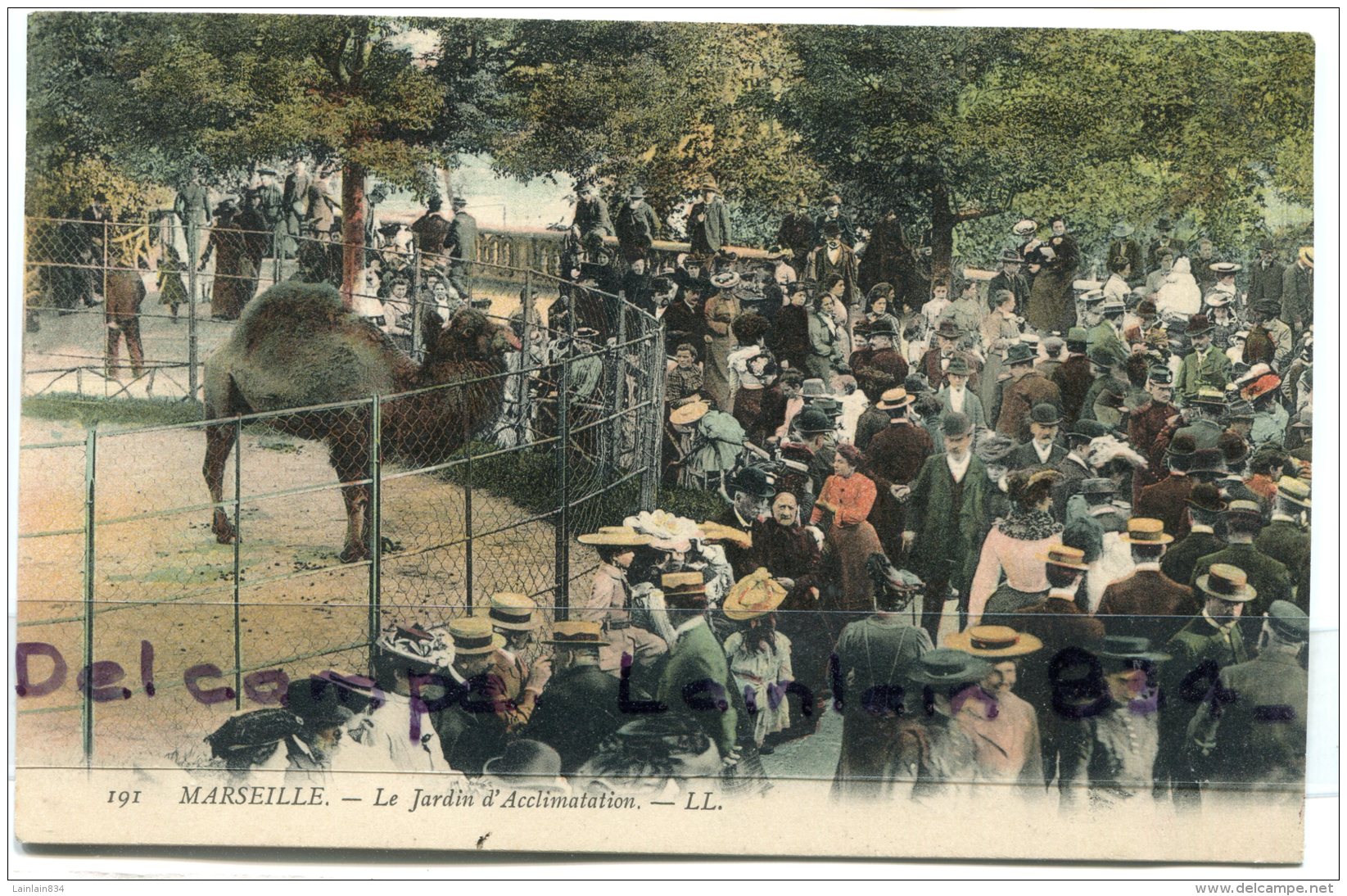 - 191 - MARSEILLE -  Le Jardin D'acclimatation, épaisse, Dromadaire, Animation, Non écrite, BE, Scans. - Parken En Tuinen