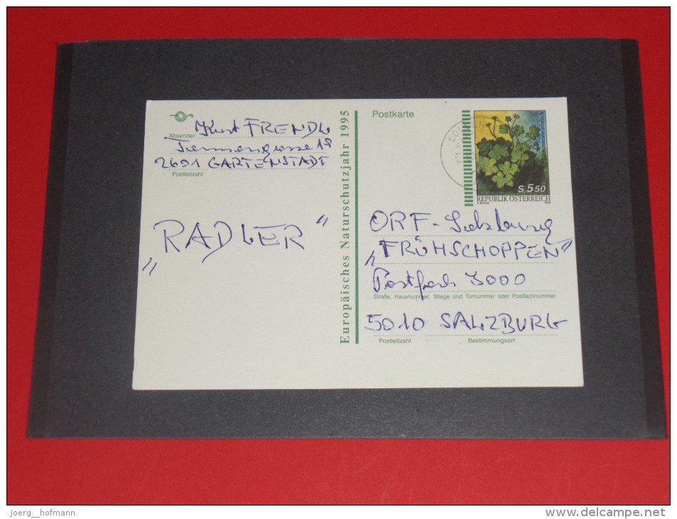 Glimmersteinbrech Blume Flower 1997 Österreich Austria Ganzsache Postal Stationery Pflanze Plant - Autres & Non Classés