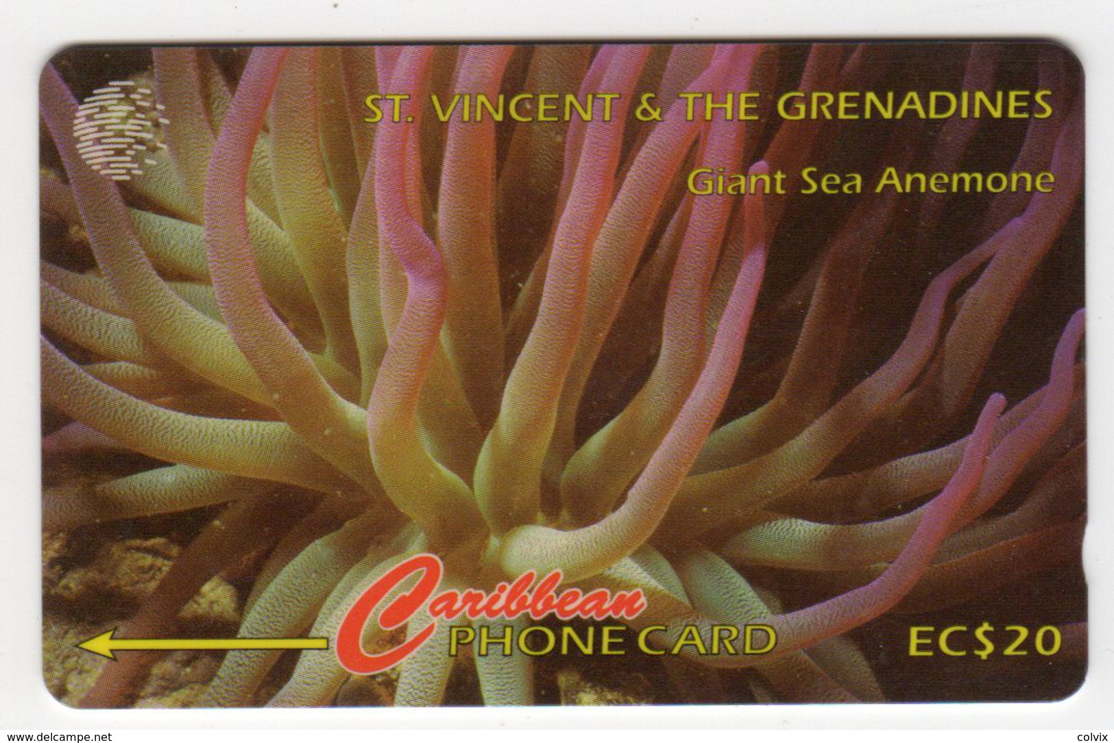 SAINT VINCENT Et GRENADINES REF MVCARDS STV-142C CABLE & WIRELESS 20$ GIANT SEA ANEMONE - St. Vincent & Die Grenadinen