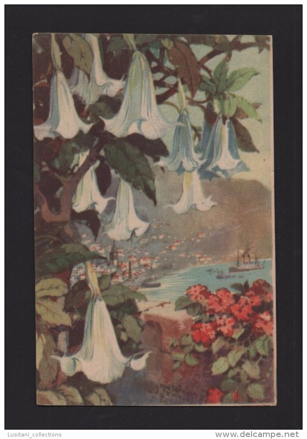 ART POSTCARD 1910years MADEIRA Art  M. Romer  FLOWERS PORTUGAL - BELLAS NOUTES  XX MADERE MADÉRE - Madeira