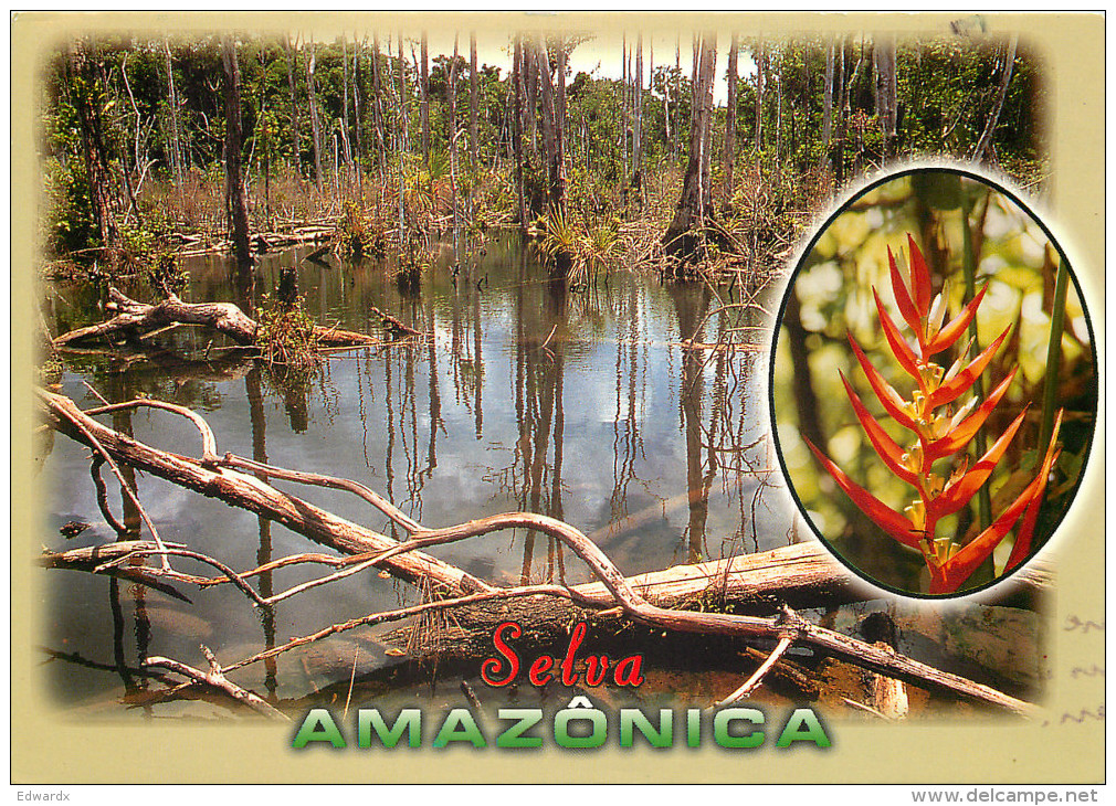Amazon, Manaus, Brazil Postcard Posted 2001 Stamp - Manaus