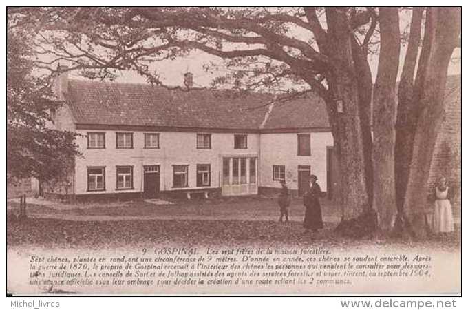 Gospinal - Les Sept Frères De La Maison Forestière- Circulé En 1925 - Animée - TBE - Jalhay - Jalhay