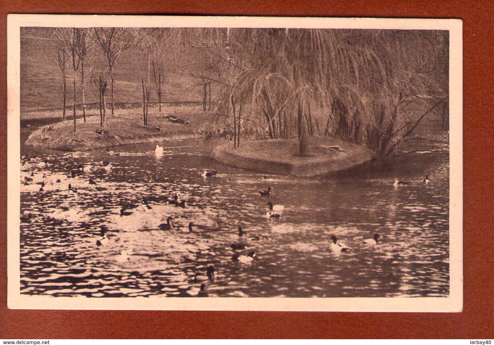 1 Cpa Parc Zoologique De Cleres Canards - Clères