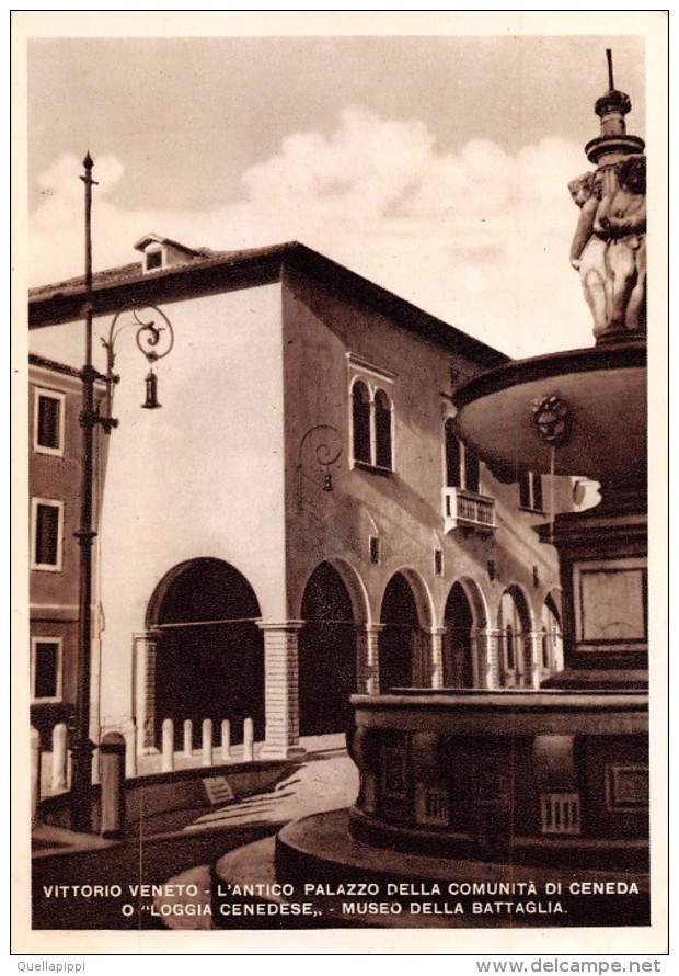 04948 "TREVISO-VITTORIO VENETO-L'ANTICO PALAZZO DELLA COMUNITA' DI CENEDA-MUSEO DELLA BATTAGLIA" VERA FOTO CART NON SPED - Treviso