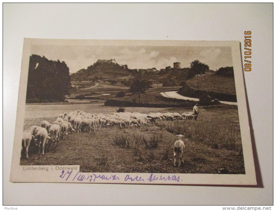 LICHTENBERG  ODENWALD , SHEPHERD   , OLD  POSTCARD , 0 - Odenwald