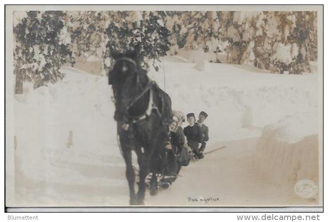 CPA Photo Norge Norvège Non Circulé Traineau Luge Attelage - Norvège