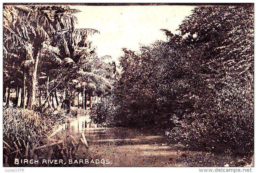 BARBADOS / BIRCH RIVER   / CIRC 1925 - Barbados (Barbuda)