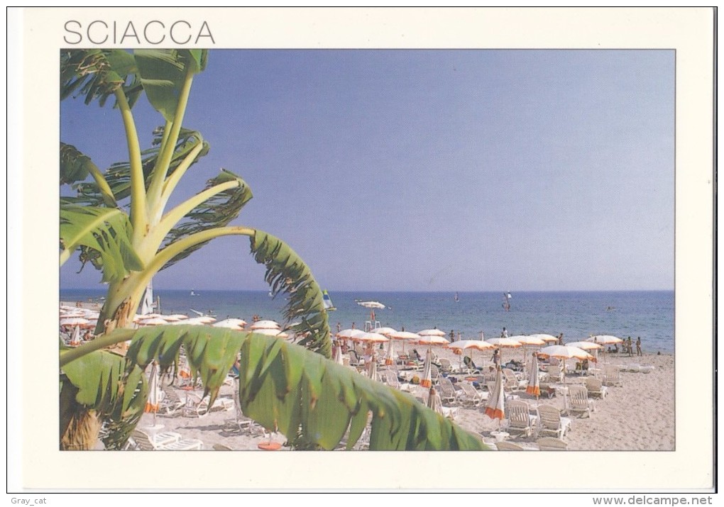 Italy, SCIACCA, (Sicilia), The Beach, Used Postcard [18986] - Other & Unclassified